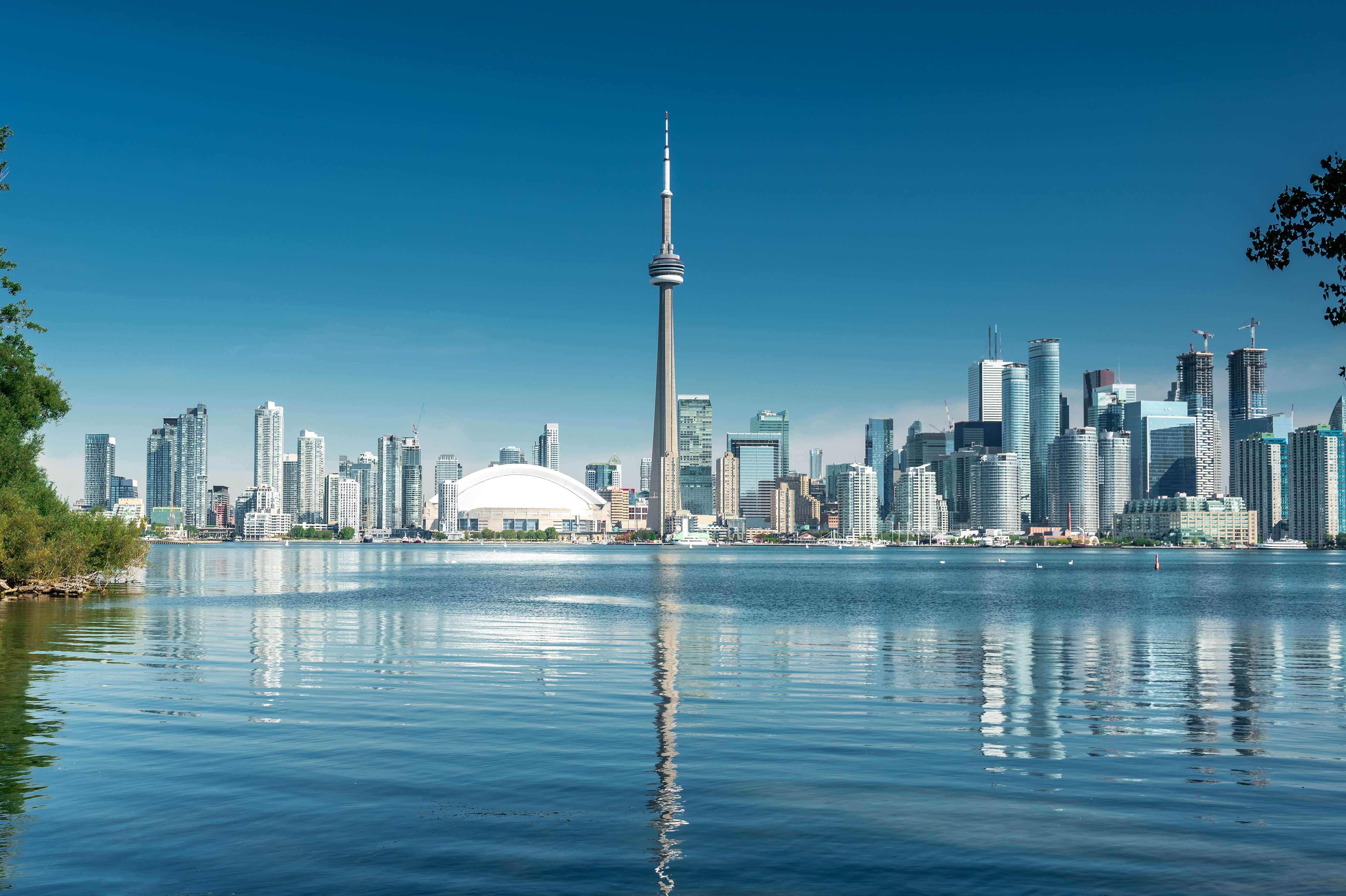 Know what’s in post coronavirus pandemic