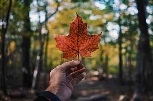 Employment Trends for Provincial Nominee Applicants in Different Provinces
